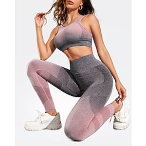 Women's Yoga Suit 2 Piece Color Gradient Clothing Suit Rosy Pink Blue Mesh Yoga Fitness Gym Workout Tummy Control Butt Lift Breathable Sleeveless Sport Activewear Stretchy Lightinthebox