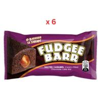 Fudgee Barr Salted Caramel Cake Bar (10X38G), 380G Pack Of 10 (UAE Delivery Only)