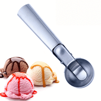 Stainless Steel Ice Cream Spoon