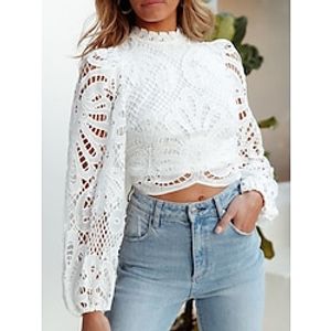 Women's Blouse Plain White Lace Patchwork Long Sleeve Casual Going out Elegant Fashion Standing Collar Regular Fit Spring Lightinthebox