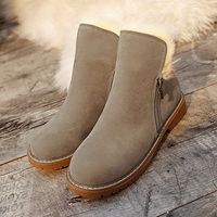 Plush Lining Faux Fur Suede Ankle Boots