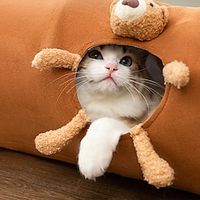 Cat Tunnel Cartoon Straight Tube Foldable Cat Toys Self Hi Easy Storage and Relief Cat Tunnel Pet Supplies Lightinthebox - thumbnail