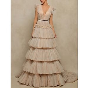 A-Line Prom Dresses Elegant Dress Prom Sweep  Brush Train Sleeveless V Neck Tulle V Back with Ruffles 2024 Lightinthebox