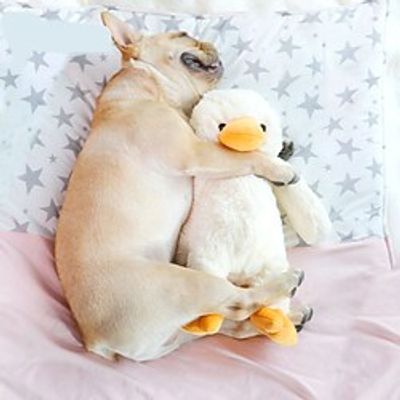 Sqeauking Toy Dog Cat 1pc Adorable Durable Cotton Gift Pet Toy Pet Play Lightinthebox