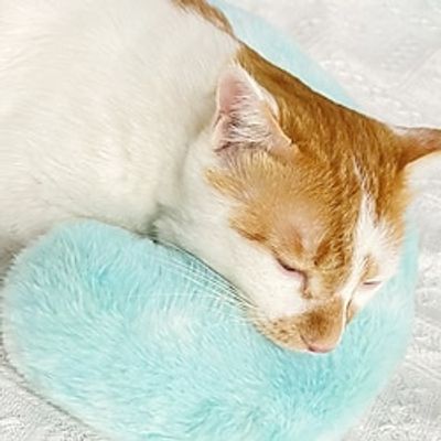 Pet Pillow Super Soft Tie Dyed Plush Little Devil Cat Pillow Prone Cushion Dog Pillow Pet Supplies Lightinthebox