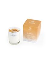 Prickly Pear Citrine Crystal Success Candle Prickly Pear Citrine Crystal Success Candle