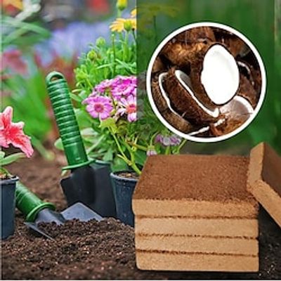 Organic Coco Coir Blocks for Medicinal Herbs, Flowers, and Vegetables Lightinthebox