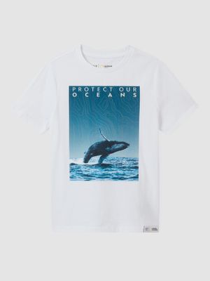 Kids National Geographic 100% Organic Cotton Interactive Ocean Conservation T-Shirt Kids National Geographic 100% Organic Cotton Interactive Ocean Conservation T-Shirt