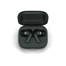 Motorola Moto Buds+ XT2441-1 Forest Grey (PG38C05743)