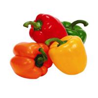 Fit Fresh Capsicum Mix (4 Color) Pkt 400 G