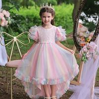 Kids Girls' Dress Party Dress Sequin Short Sleeve Special Occasion Christening dress Puff Sleeve Princess Beautiful Mesh Midi Summer Spring Fall 3-12 Years Multicolor Lightinthebox