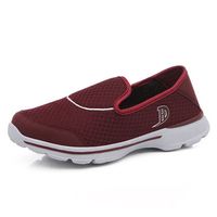 Mesh Breathable Casual Shoes