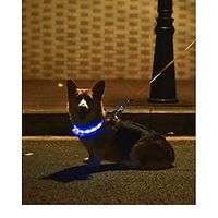 Rodents Dog Rabbits Reflective Band Light Up Collar Anti Lost Tracker Collar Reflective Adjustable Portable Trainer LED Lights Adjustable Flexible Durable Rechargeable Safety Life Reflective Strip Lightinthebox - thumbnail