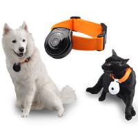 480P Black Dog Cat Puppy Pet Mini Camera