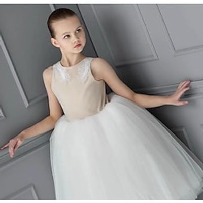 Kids Girls' Party Dress Solid Color Sleeveless Performance Mesh Princess Sweet Mesh Mid-Calf Sheath Dress Tulle Dress Summer Spring Fall 2-12 Years White Lightinthebox
