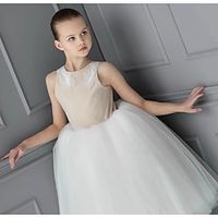 Kids Girls' Party Dress Solid Color Sleeveless Performance Mesh Princess Sweet Mesh Mid-Calf Sheath Dress Tulle Dress Summer Spring Fall 2-12 Years White Lightinthebox