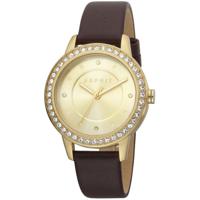 Esprit Gold Women Watch (ES-1042611)