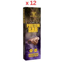 Healthy & Tasty Protein Bar Mocha 70 G, Box Of 12, 20G Protein, 242 Kcal, Soy Protein Free, Non-Gmo, Food Supplement