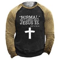 Men's Unisex Sweatshirt Pullover Color Block Graphic Prints Letter Patchwork Print Daily Sports Holiday 3D Print Casual Vintage Hoodies Sweatshirts  Khaki Lightinthebox - thumbnail