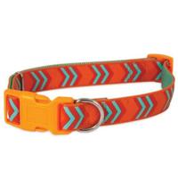 Petmate Rubber Adjustable Dog Collar 3/4 Inch X 14 - 20 Inch, Orange Chevron