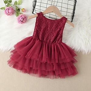 Toddler Girls' Dress Plain Wedding Mesh Patchwork Wine Knee-length Sleeveless Dresses Spring Summer Regular Fit 1 PC 2-6 Years Lightinthebox