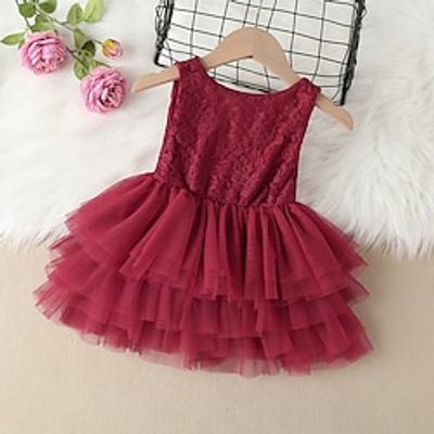Toddler Girls' Dress Plain Wedding Mesh Patchwork Wine Knee-length Sleeveless Dresses Spring Summer Regular Fit 1 PC 2-6 Years Lightinthebox