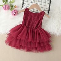 Toddler Girls' Dress Plain Wedding Mesh Patchwork Wine Knee-length Sleeveless Dresses Spring Summer Regular Fit 1 PC 2-6 Years Lightinthebox - thumbnail