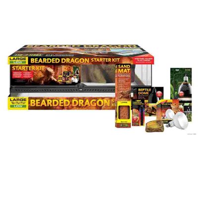 Bearded Dragon Starter Kit