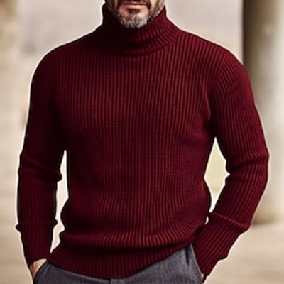 Men's Sweater Pullover Ribbed Knit Knitted Plain Turtleneck Keep Warm Modern Contemporary Daily Wear Going out Clothing Apparel Fall  Winter Black Wine S M L miniinthebox