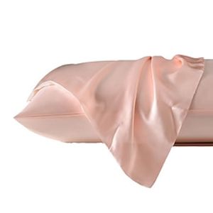 100% Mulberry Silk Pillowcase for Hair and Skin Health,Soft and Smooth Luxury Silk Pillow Cover,Double Side 19 Momme Natural Silk Pillow Case Envelope Closure ,1pc Lightinthebox