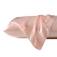 100% Mulberry Silk Pillowcase for Hair and Skin Health,Soft and Smooth Luxury Silk Pillow Cover,Double Side 19 Momme Natural Silk Pillow Case Envelope Closure ,1pc Lightinthebox - thumbnail