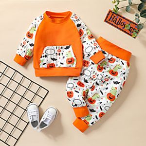 2 Pieces Baby Unisex Active Casual  Daily Dinosaur Animal Patchwork Print Long Sleeve Regular Clothing Set Orange Lightinthebox