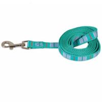 Petmate Aspen Pet Dog Leash 1 Inch X 6 Inch Teal Stripe