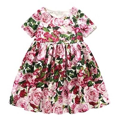 Kids Girls' Dress Floral Party Dress Dress Performance Long Sleeve Active Dress 3-12 Years Winter Pink  Cute  Fall Lightinthebox