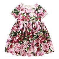 Kids Girls' Dress Floral Party Dress Dress Performance Long Sleeve Active Dress 3-12 Years Winter Pink  Cute  Fall Lightinthebox - thumbnail