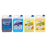 Hotpack Antiseptic Disinfectant 5 Litre - 4 Pieces