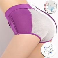 Menstruation Leakage-proof Underwear Cotton High Waisted Seamless Panties