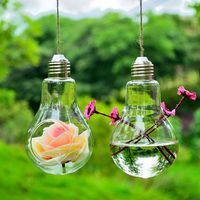 European Retro Bulb Shape Glass Vase Hanging Hydroponic Plant Flower Clear Container