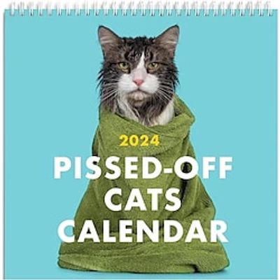 2024 Pissed-Off Cat Calendar - 12 Month Angry Cat Calendar, Ugly Cat Planner Wall Calendar, Major Holidays and Fun Occasions, Trendy Wall Calendar for Creative Cat Lovers Lightinthebox