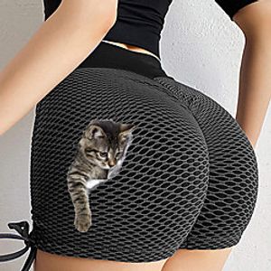 Women's Yoga Pants Shorts Aquamarine Sports Activewear Cat Pattern Printing Women'S Sweatpants Fitness Training Yoga Running Quick-Drying Exercise Lightinthebox