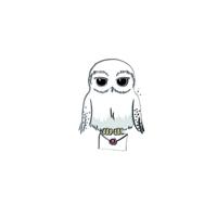 Sihir Dukkani Wizarding World Harry Potter Hedwig Pin