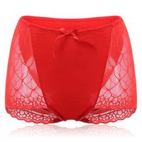 Breathable Lace Stretchy High Waist Panties
