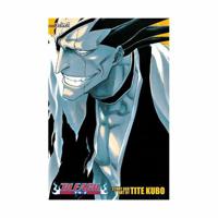 Bleach Vol.5 (Vol.13-14-15) | Tite Kubo