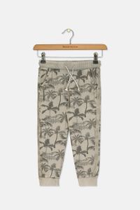 Little Boys Palm Print Pants  Grey