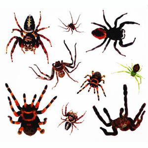 Halloween Spider Temporary Tattoo Sticker