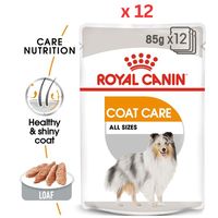 Royal Canin Canine Care Nutrition Coat Beauty Wet Dog Food Pouches Pack Of 12Pcs