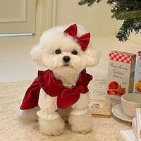 Little Dog Christmas Princess Dress Autumn and Winter Teddy Bears Pomeranian Small Dog Pet Cat Clothes Winter Lightinthebox - thumbnail