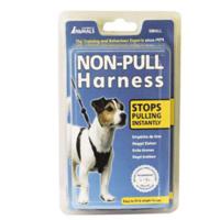 Company Of Animals LS01 Non-Pull Harness Black Small