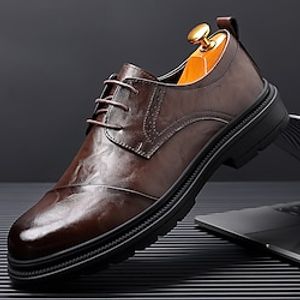 Men's Oxfords Comfort Shoes Walking Casual Daily Leather Comfortable Booties / Ankle Boots Loafer Dark Brown Black Spring Fall miniinthebox