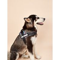Dog Cat Harness Leash Running Leash Breathable Vest Adjustable Flexible Durable Escape Proof Safety Portable Safety Sports Adjustable Outdoor Geometric Solid Colored Geometry Polyester Husky Labrador Lightinthebox - thumbnail